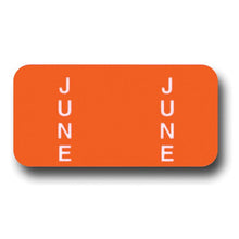 Load image into Gallery viewer, File Right™ Month Labels Service Department Georgia Independent Auto Dealers Association Store June