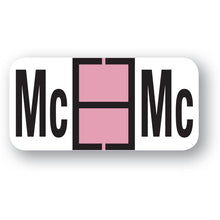 Load image into Gallery viewer, File Right™ Alphabet Labels Service Department Georgia Independent Auto Dealers Association Store