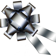 Load image into Gallery viewer, Car Bows Sales Department Georgia Independent Auto Dealers Association Store Silver Vinyl