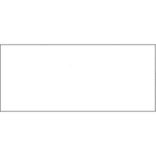 Load image into Gallery viewer, Envelopes Office Forms Georgia Independent Auto Dealers Association Store #10 Envelope