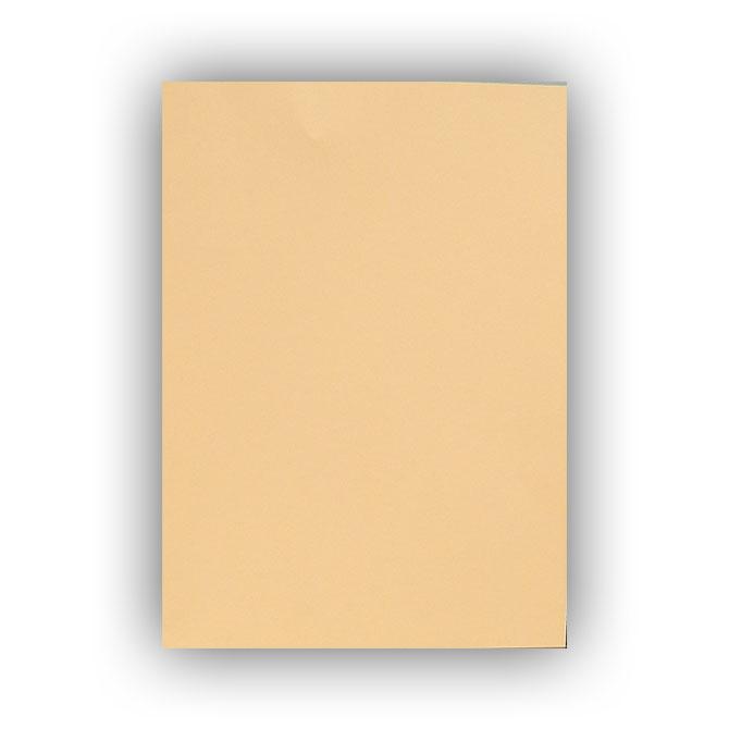 90 lb. Cardstock (Buff) Office Forms Georgia Independent Auto Dealers Association Store
